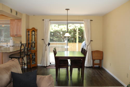 Lower level fireplace